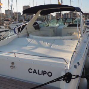 Calipo Sea Ray 21